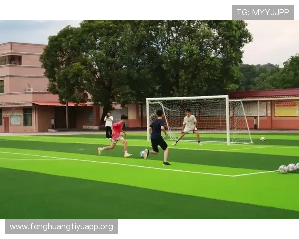 始兴社会体育足球场在青少年体育教育中的应用与推广方案 始兴社会体育足球场在青少年体育教育中的应用与推广方案